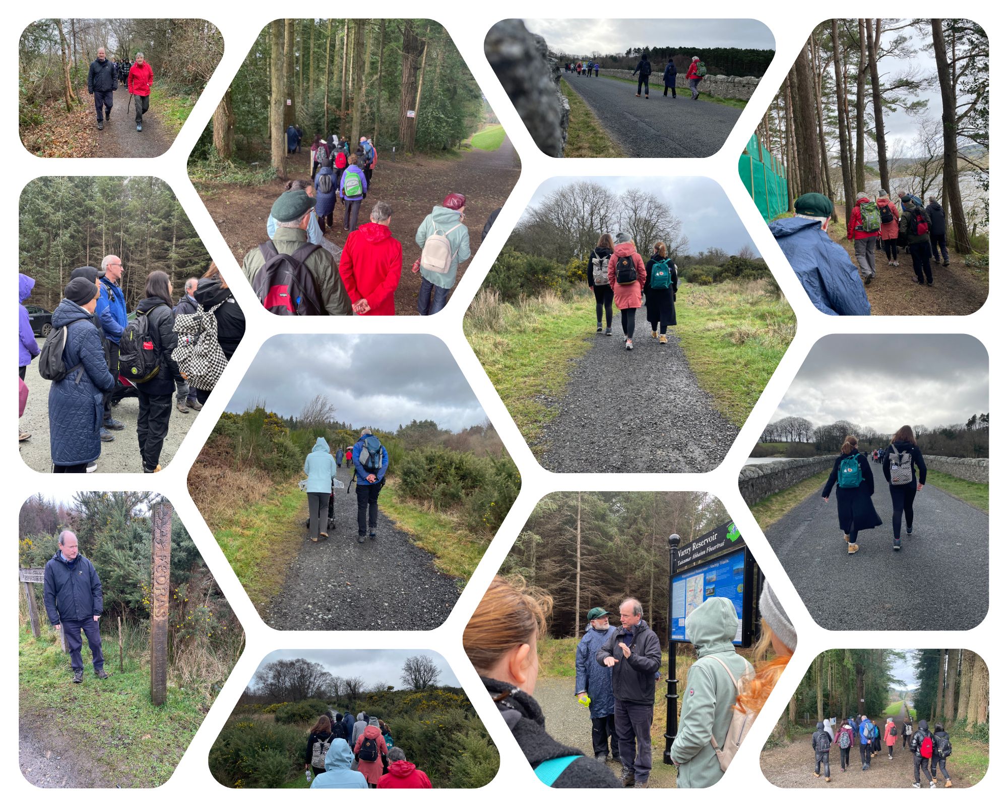Vartry Trail Photo Collage